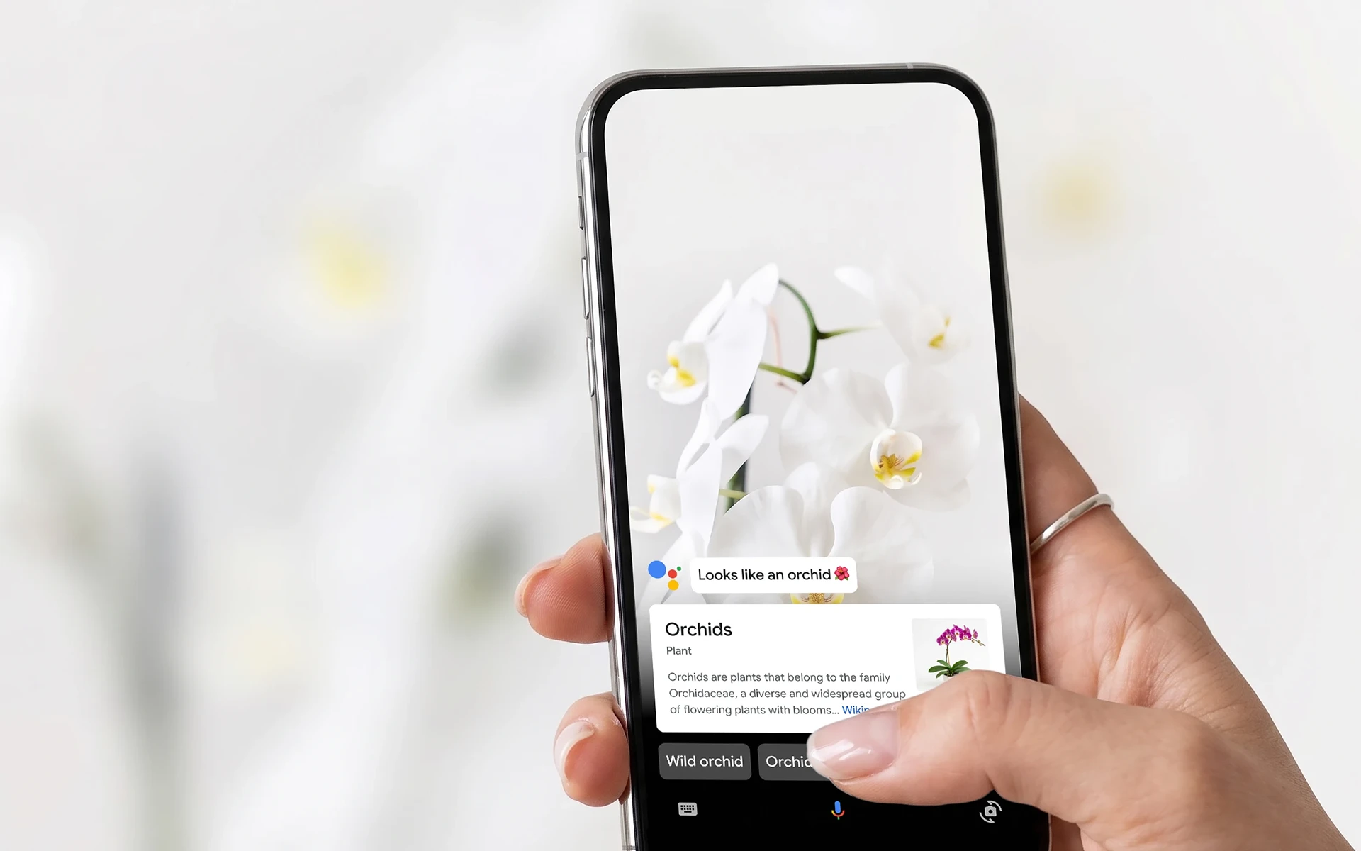 Lens in Google Assistant
